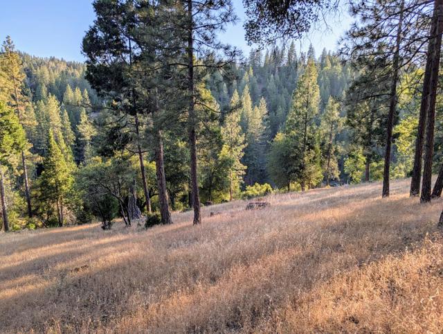 20130 Pine Mountain Dr #4,137, Groveland CA: https://media.crmls.org/mediaz/14282b06-3ea6-4e1a-a4c4-7f11323a2f43.jpg