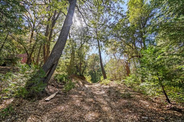 Detail Gallery Image 5 of 30 For 14 +/- Acres Palomar Divide Truck Trl, Palomar Mountain,  CA 92060 - – Beds | – Baths