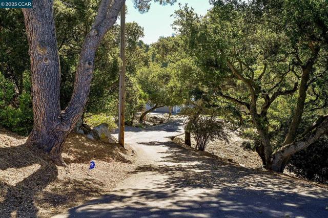 3981 Amyx Ct, Hayward CA: https://media.crmls.org/mediaz/143ca804-37f3-4a56-92fb-3ddd033bc883.jpg
