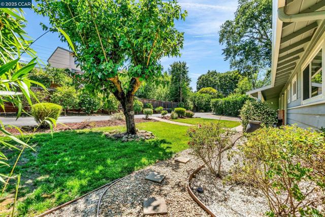 57 Jemco Ct, Pleasant Hill CA: https://media.crmls.org/mediaz/144226c5-9698-450e-b78b-7db5505acfd2.jpg