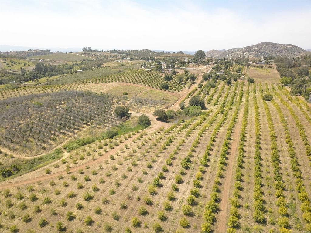 MLS #NDP2508644 image #5