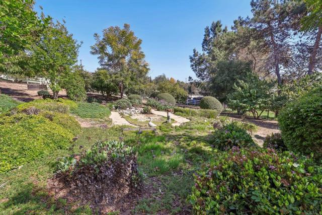 3612 Palomar Drive, Fallbrook, California 92028, 3 Bedrooms Bedrooms, ,2 BathroomsBathrooms,Residential,For Sale,3612 Palomar Drive,CRNDP2503953