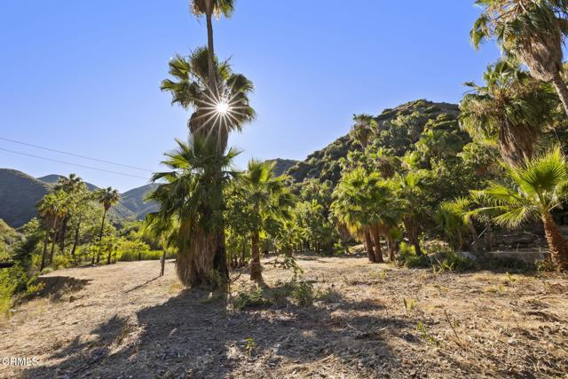 16825 Maricopa Highway, Ojai CA: https://media.crmls.org/mediaz/1454107a-5393-4041-a68e-7b03fff32061.jpg