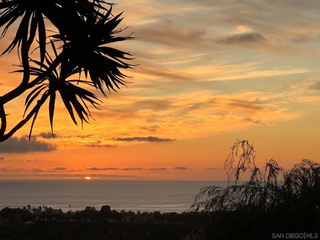 7215 Daffodil Pl, Carlsbad CA: https://media.crmls.org/mediaz/1455047a-6c99-4c19-af18-918c06ff5416.jpg