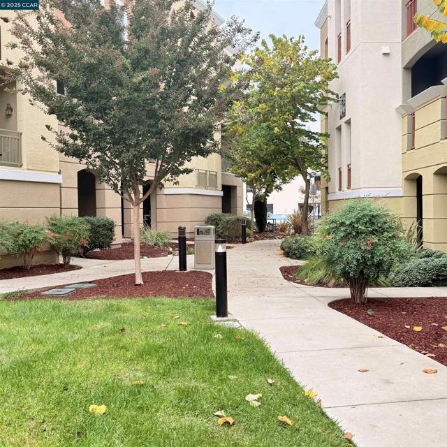 4704 Norris Canyon Rd, San Ramon CA: https://media.crmls.org/mediaz/14576dbe-71da-4e41-a818-7c6b57a29892.jpg