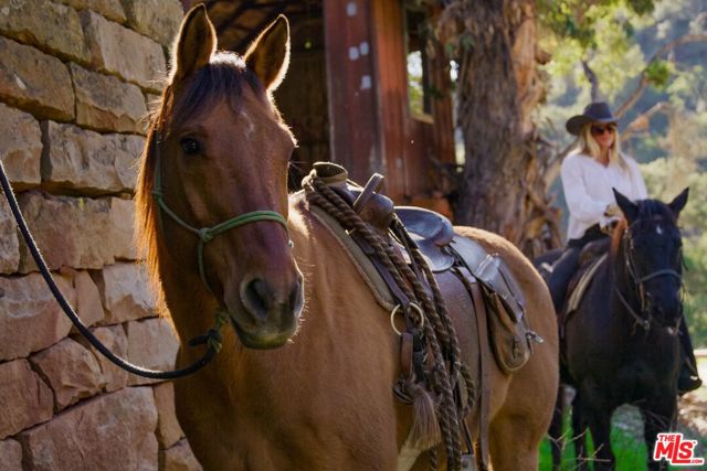 1915 Monte Alegre Drive, Carpinteria CA: https://media.crmls.org/mediaz/145aab08-8b37-48b2-bf48-5d0aa6be9600.jpg