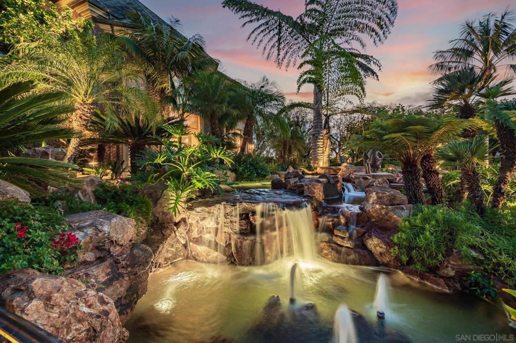 MLS #250041028SD image #37