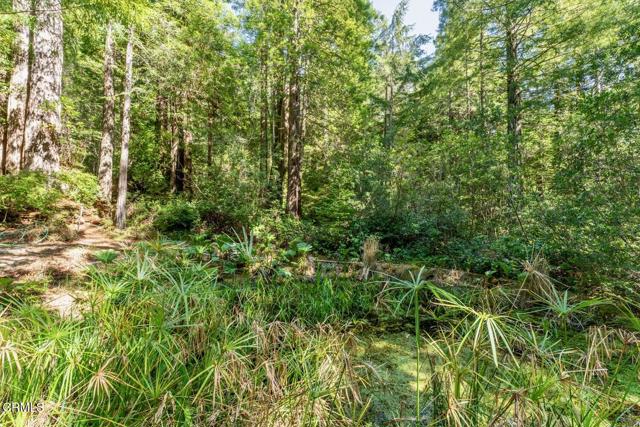 Detail Gallery Image 39 of 42 For 33100 Frog Pond Rd, Little River_1,  CA 95456 - 3 Beds | 3 Baths