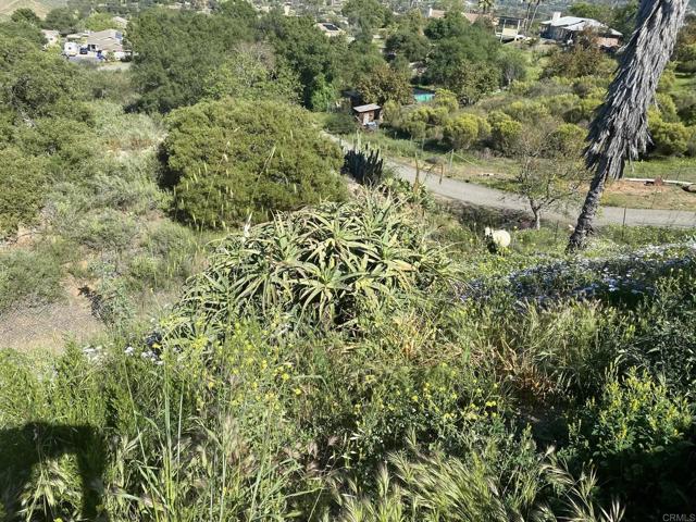 Detail Gallery Image 30 of 44 For 30603 Roadrunner Ridge, Valley Center,  CA 92082 - 3 Beds | 2/1 Baths