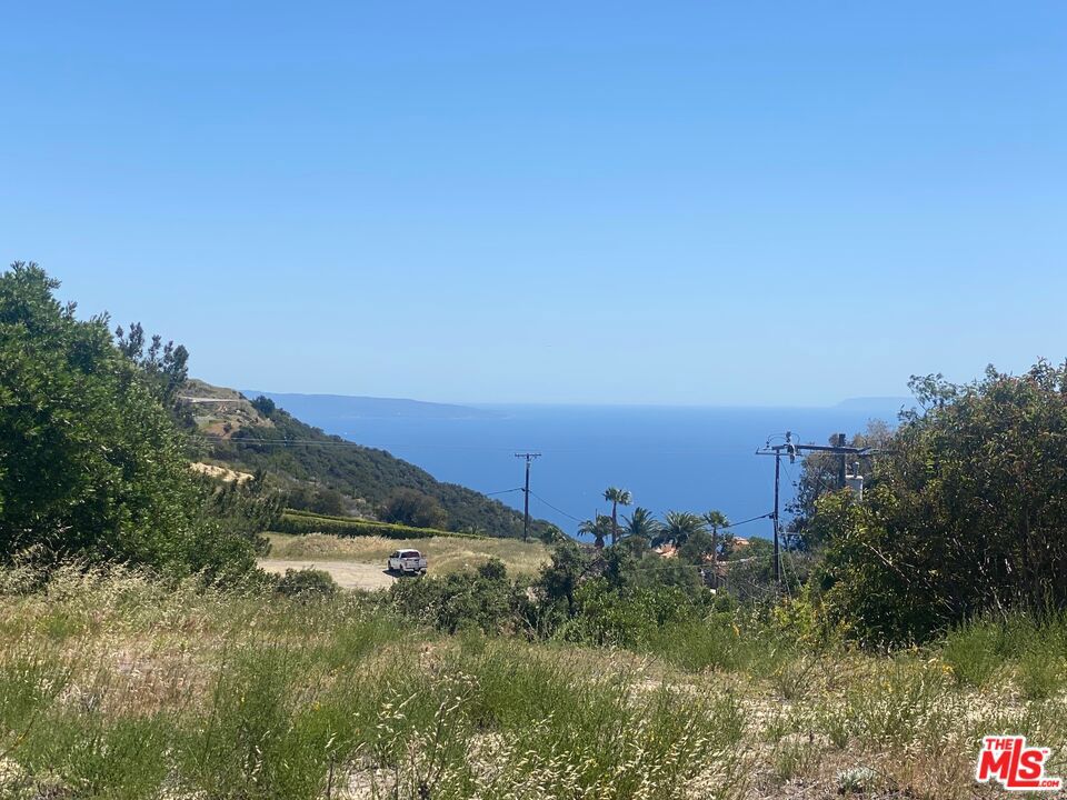 23118 SADDLE PEAK Road