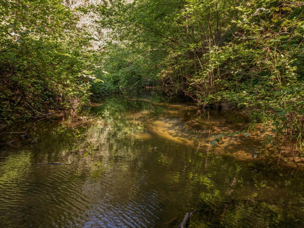 https://media.crmls.org/mediaz/14a37d9c-2060-4c3e-b663-ed7cd18e25e7.jpg?preset=X-Large
