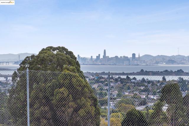 1034 Navellier St, El Cerrito CA: https://media.crmls.org/mediaz/14a5114c-b460-491b-9e99-28c56d048e8b.jpg