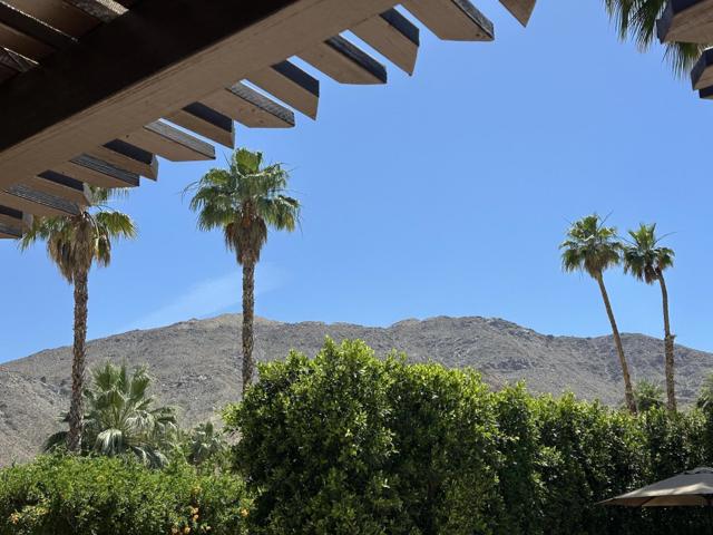 71521 Halgar Road, Rancho Mirage CA: https://media.crmls.org/mediaz/14a74401-4627-48c5-933b-1d8a51671257.jpg