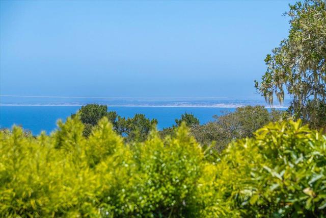 630 Terry Street, Monterey CA: https://media.crmls.org/mediaz/14b93b5d-e868-4e81-94ff-c11ae72ba439.jpg