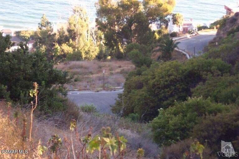 MLS #225001605 img 29