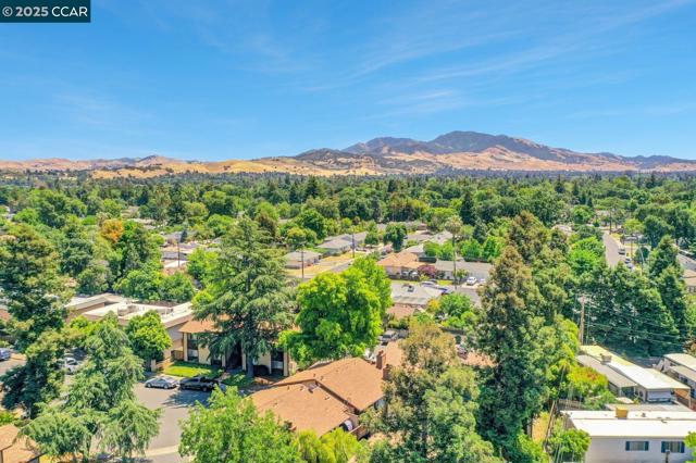 1440 Reganti Pl, Concord CA: https://media.crmls.org/mediaz/14bed241-b57f-4775-9538-59b6edfeb4b6.jpg