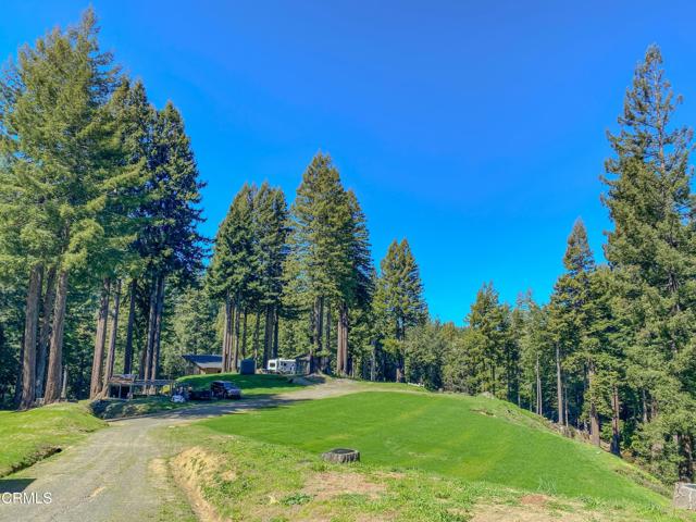 15137 Mitchell Creek Drive, Fort Bragg CA: https://media.crmls.org/mediaz/14c2b528-c8ad-424f-bbb0-24dad9c1e4fe.jpg