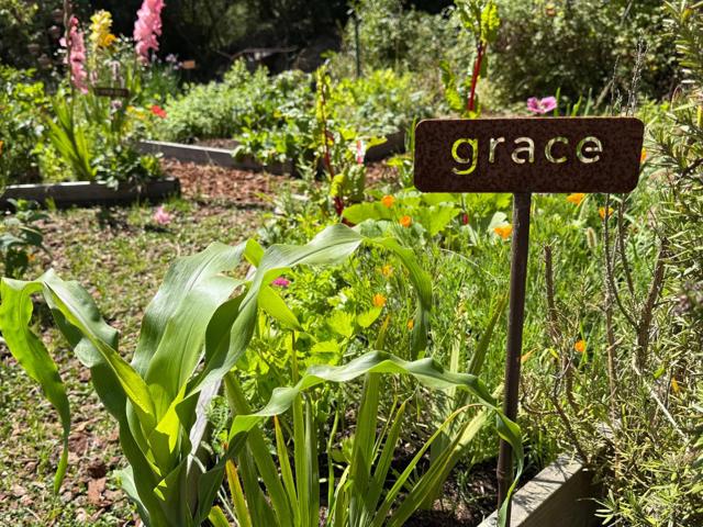 122 Strawberry Canyon Road,  CA: https://media.crmls.org/mediaz/14c56d08-aa04-4c69-81d0-b296889732a8.jpg