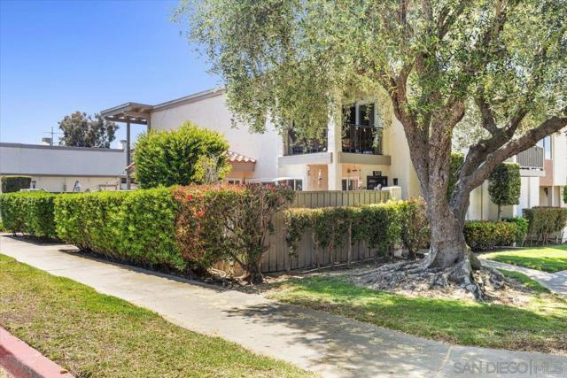 5217 Mount Alifan Dr, San Diego CA: https://media.crmls.org/mediaz/14c9d199-db11-4f17-be97-788c16665861.jpg