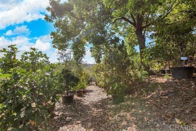 2081 Elevado Road, Vista CA: https://media.crmls.org/mediaz/14e560f4-32e6-4334-9322-bc6909fcead9.jpg