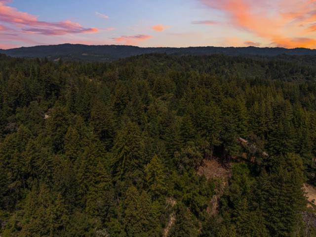 220 Hillary, Boulder Creek CA: https://media.crmls.org/mediaz/14e6d038-7f34-486f-8f3b-10e81bf14ab7.jpg