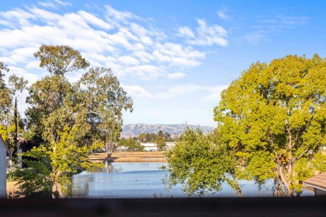 904 Capri Drive, Campbell CA: https://media.crmls.org/mediaz/14eab89a-052e-47d8-a86b-d1d615eca6e4.jpg