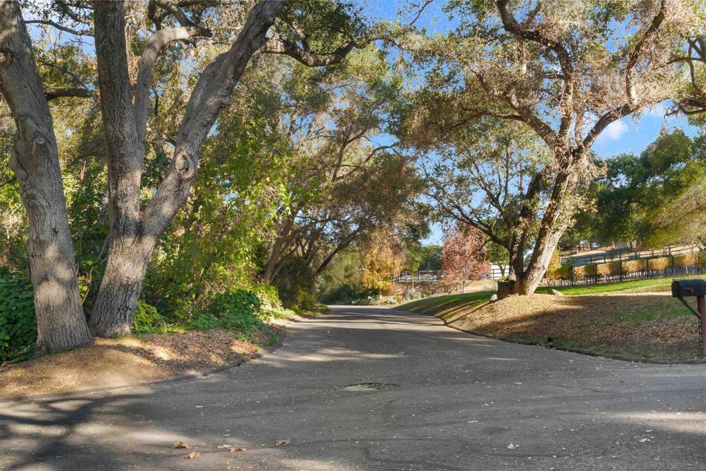 MLS #250043071SD image #37