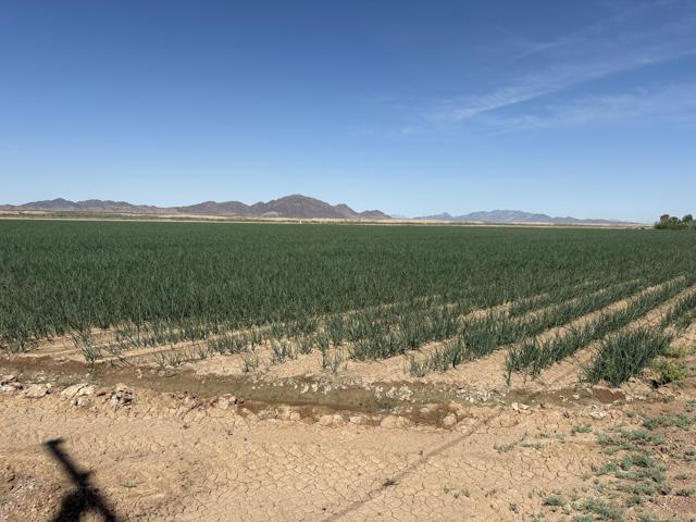 Image 3 of 17 For 187 Water Toll Acres On Ben Hulse Highway