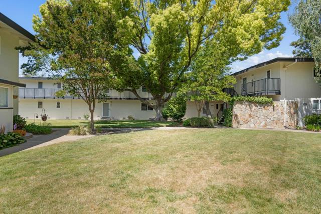 14225 Lora Drive, Los Gatos CA: https://media.crmls.org/mediaz/14fb64a7-422e-4d6d-9989-edc8ecab0512.jpg