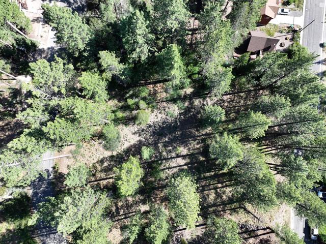 881 Onnontioga Street, South Lake Tahoe CA: https://media.crmls.org/mediaz/14fd43b7-eb73-4f52-8abd-2284d60aac9f.jpg