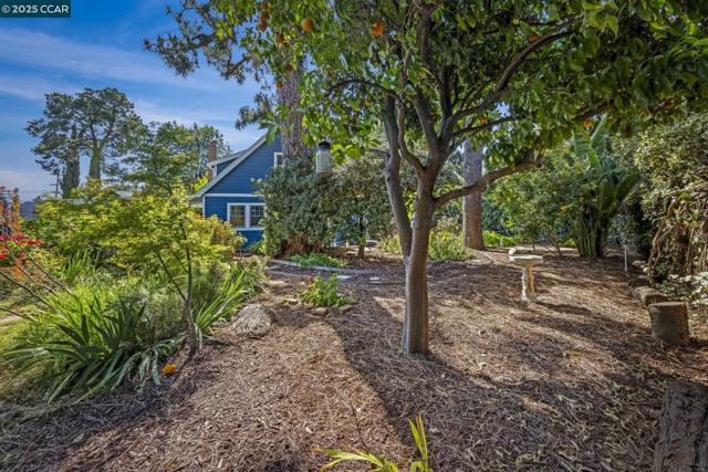 3505 Euclid Ave, Concord CA: https://media.crmls.org/mediaz/15071936-d87d-4b84-a8ca-07209955855a.jpg