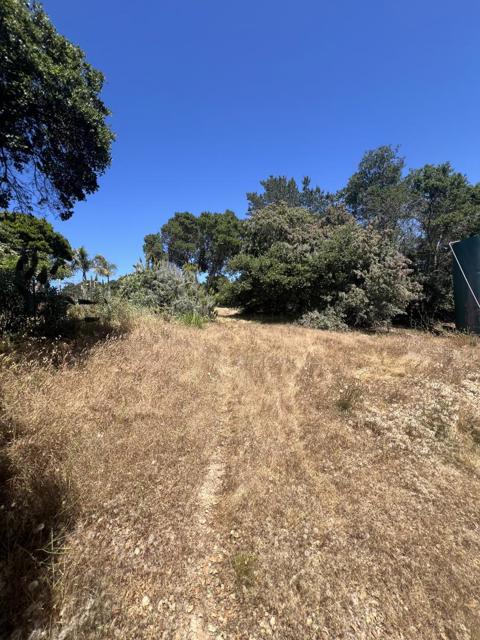 17160 Wilson Way, Royal Oaks CA: https://media.crmls.org/mediaz/150872b9-a6a8-4cae-a970-eef750dd8e1b.jpg