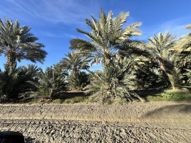 0 Nwc Pierce St & Ave 64, Thermal CA: https://media.crmls.org/mediaz/1508e702-e5cc-4eee-a472-9310d6183974.jpg