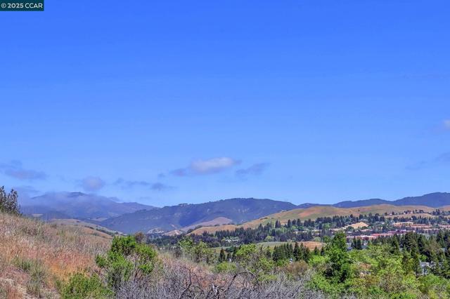 2120 Goldenrod Lane, San Ramon CA: https://media.crmls.org/mediaz/1509f888-bbca-41d1-8f0b-cd87ff0865f5.jpg