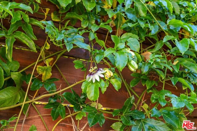 4104 Saugus Avenue, Sherman Oaks CA: https://media.crmls.org/mediaz/151411ee-6eda-4906-9f1f-099194384ea2.jpg