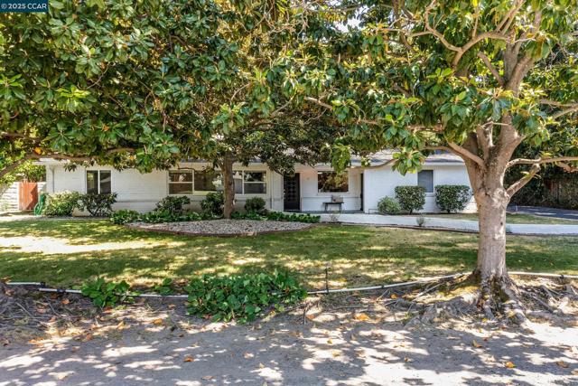 51 Bolla Ave, Alamo CA: https://media.crmls.org/mediaz/151cd641-4000-418b-bb9c-494739c01908.jpg