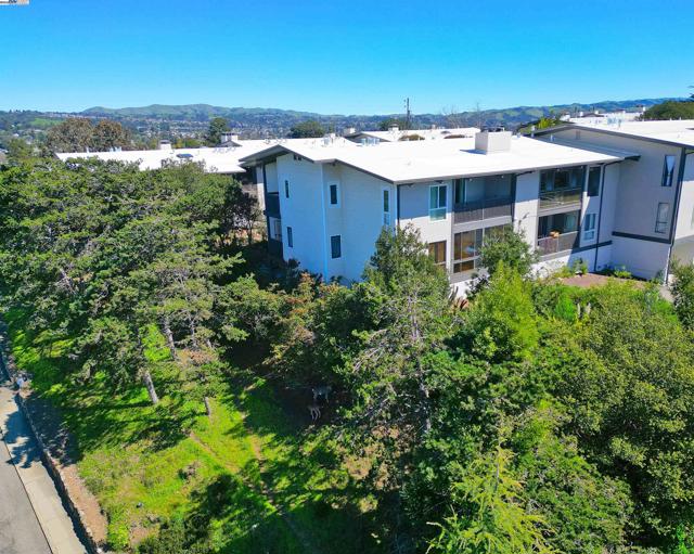 19100 Crest Ave, Castro Valley CA: https://media.crmls.org/mediaz/152fb8e5-8e62-40d2-b251-942bcd1d37eb.jpg
