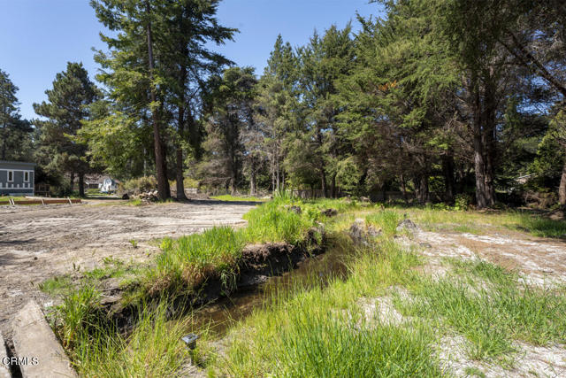 Detail Gallery Image 6 of 9 For 32625 Happy Ln, Fort Bragg,  CA 95437 - – Beds | – Baths