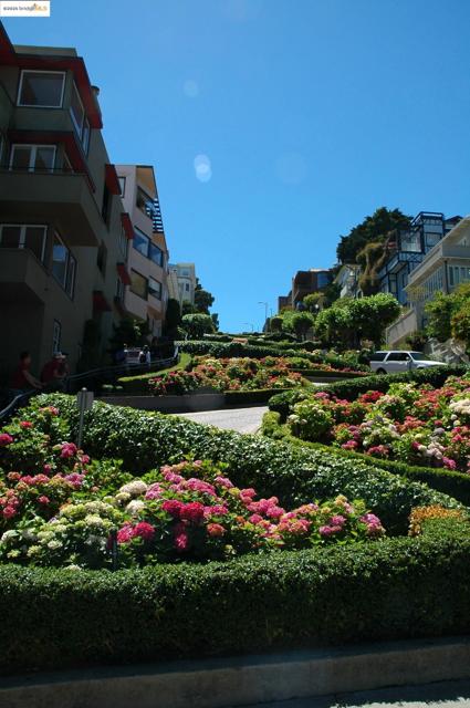 49 Auburn Street, San Francisco CA: https://media.crmls.org/mediaz/153e152a-23bb-406b-ba57-9584882d701a.jpg