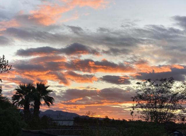 Image 35 of 68 For 74711 Dillon Rd Spc 962