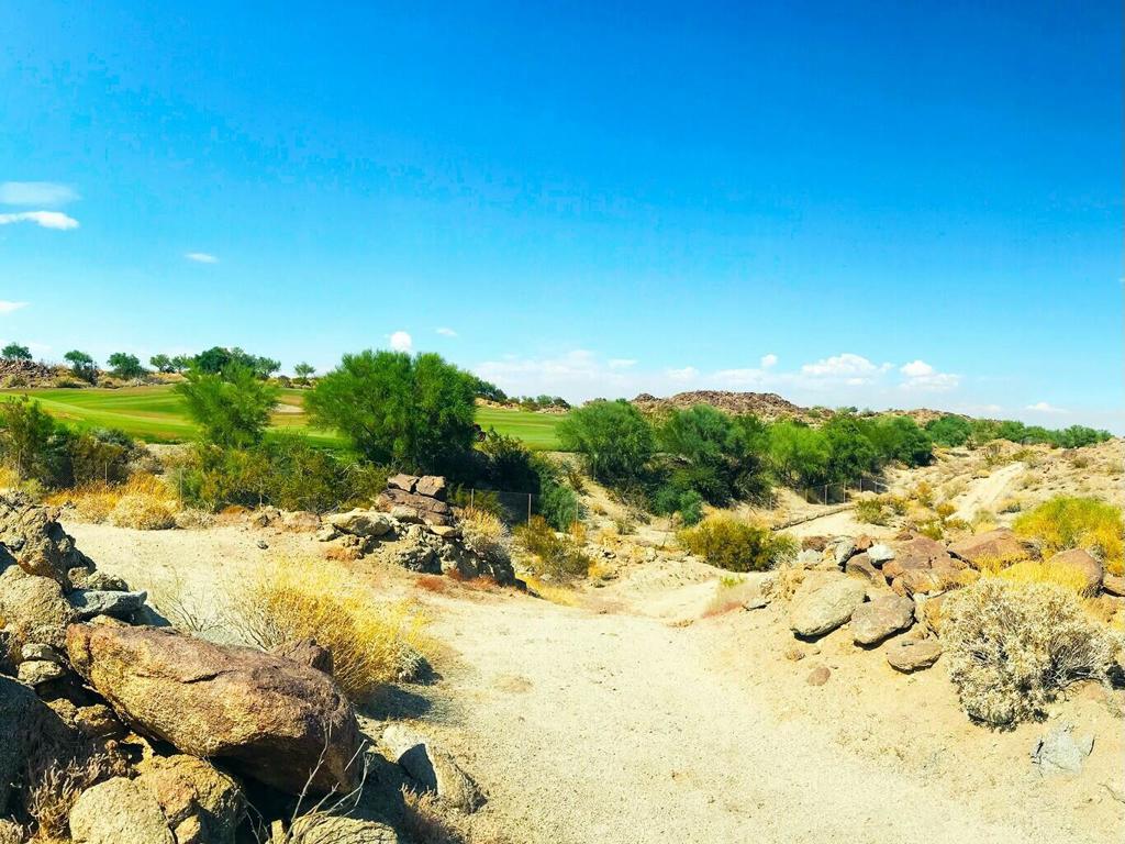 MLS #219128990DA image #4