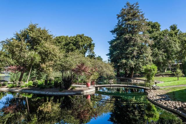815 N Humboldt Street, San Mateo CA: https://media.crmls.org/mediaz/155859c8-cdd5-4b4b-ba8a-a0ad4223aa10.jpg