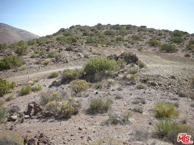  Land for Sale in Acton, California