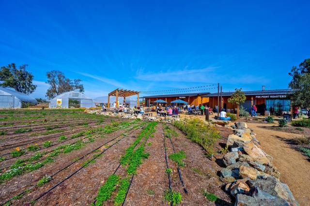 1216 Molara Ln, Encinitas CA: https://media.crmls.org/mediaz/155e68ac-becd-48b9-92f3-f42a370bf32f.jpg