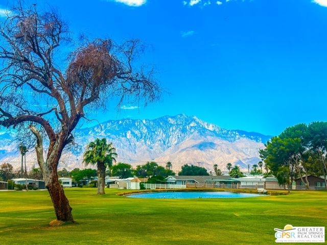 69490 Parkside Drive, Desert Hot Springs CA: https://media.crmls.org/mediaz/15603445-0e09-4d45-84d5-28f8f0c611db.jpg