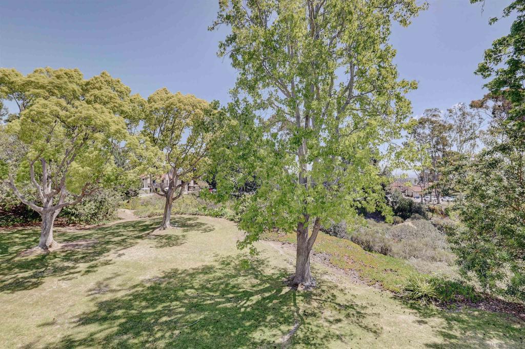MLS #250035200SD image #18