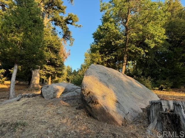 Detail Gallery Image 29 of 47 For 10 Acres Greenfield Way, Palomar Mountain,  CA 92060 - – Beds | – Baths