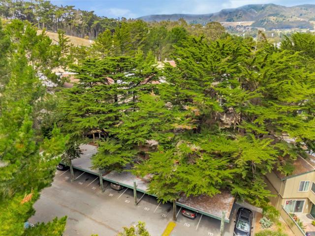 377 Mandarin Drive, Daly City CA: https://media.crmls.org/mediaz/1569c2e1-6310-4146-9011-d03280c9d459.jpg