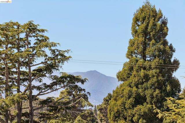 1509 Francis St, Albany CA: https://media.crmls.org/mediaz/157695bb-1c3d-47d0-9bd6-accd52b1833f.jpg