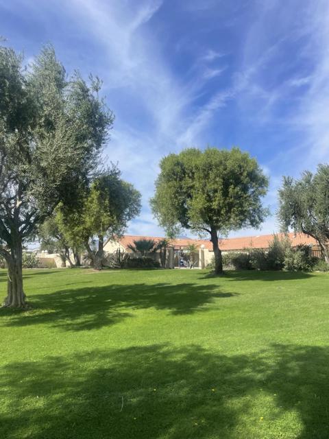 14777 Palm Drive, Desert Hot Springs CA: https://media.crmls.org/mediaz/157a5fa5-f98b-4b20-8190-9222736d287a.jpg